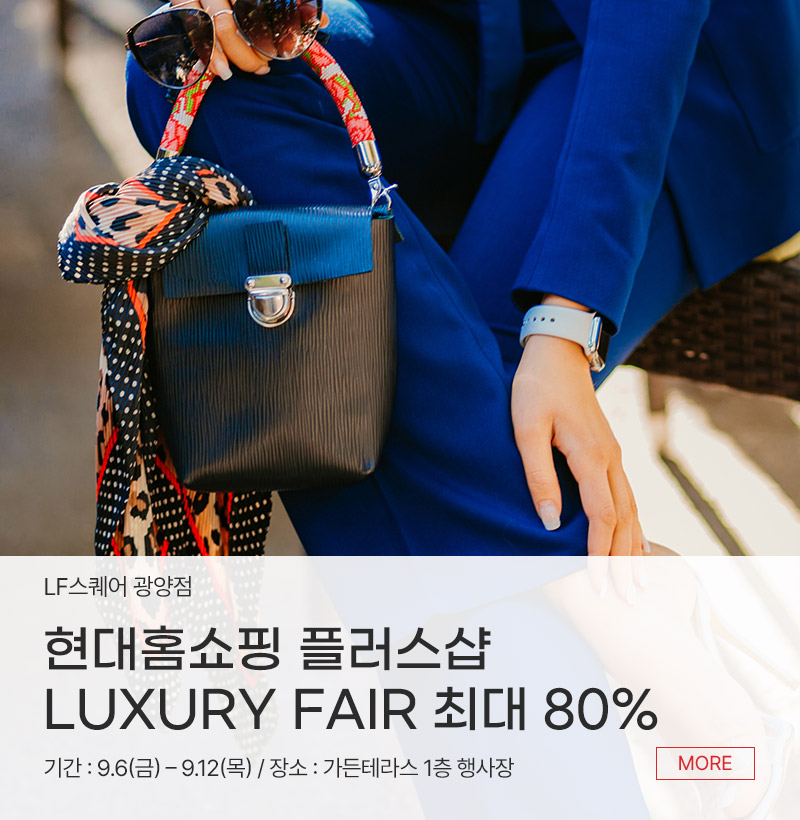 현대홈쇼핑 플러스샵 LUXURY FAIR 최대 80%