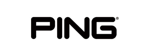 핑 (PING)